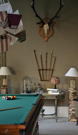 Château Colbert - Billard