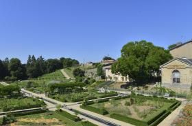 Château Colbert - Potager
