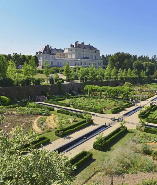 Château Colbert - Vegetable Garden