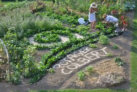 Château Colbert - Vegetable garden